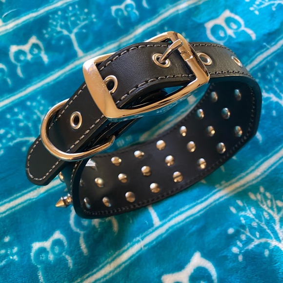 NWOT Spiked 🐶 Collar - Picture 5 of 6